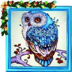 Owl 40x40cm Framed