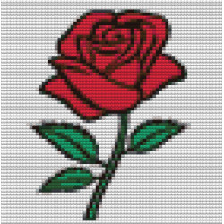 Rose 20x20cm