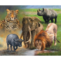 The big 5 in 55x65cm