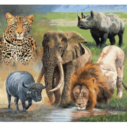 Big 5 Cross Stitch 50x60cm