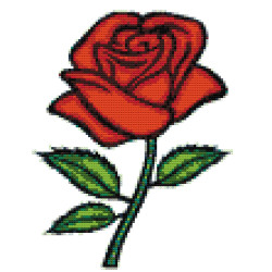 Rose - Partial Cross Stitch