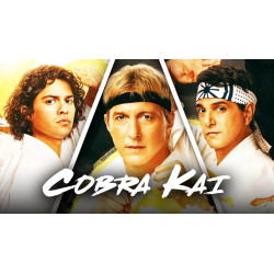 Cobra Kai 4