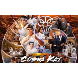 Cobra Kai 6