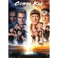 Cobra Kai 8