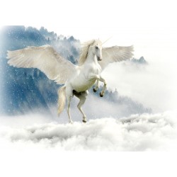 Unicorn on Clouds