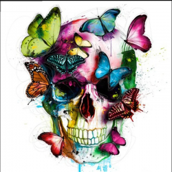 Butterfly Scull