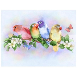 Colourful Birds