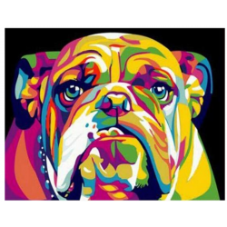 Colourful Bulldog