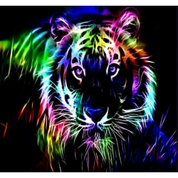 Colourful Tiger