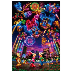 Disney Fireworks