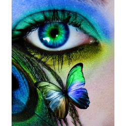 Colourful Eye Blue