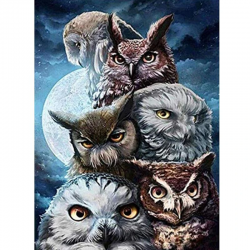 Owls