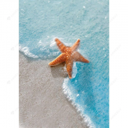 Sea Star