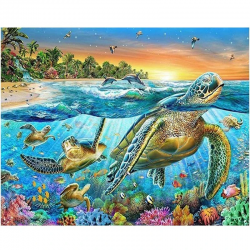 Sea Turtles