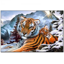 Tigers