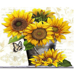 Sunflowers in pot