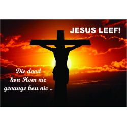 Jesus leef