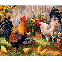 Roosters