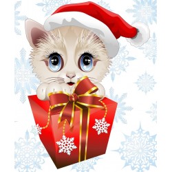 Kitten present