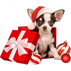 Christmas Chihuahua